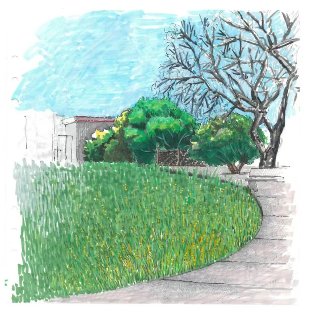 1732179001548770.jpg 33.jpg