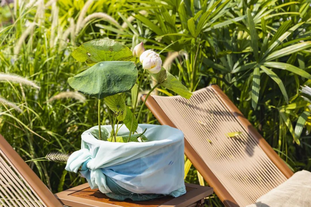 1752481019396522.jpg 24.jpg