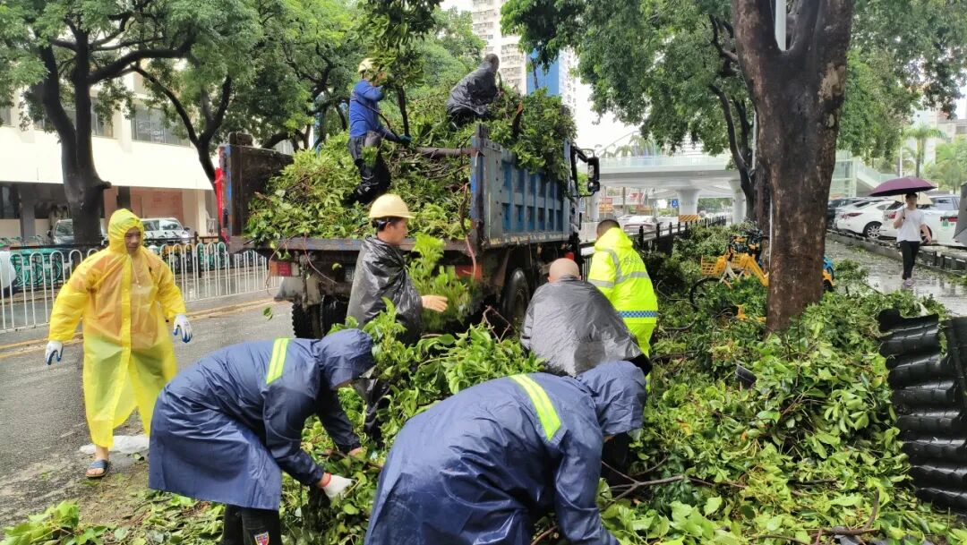 1759216008249025.jpg 1.jpg